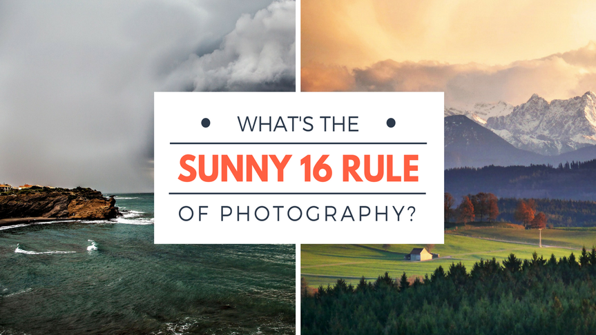 What is the Best Camera for Photography? – Sunny 16