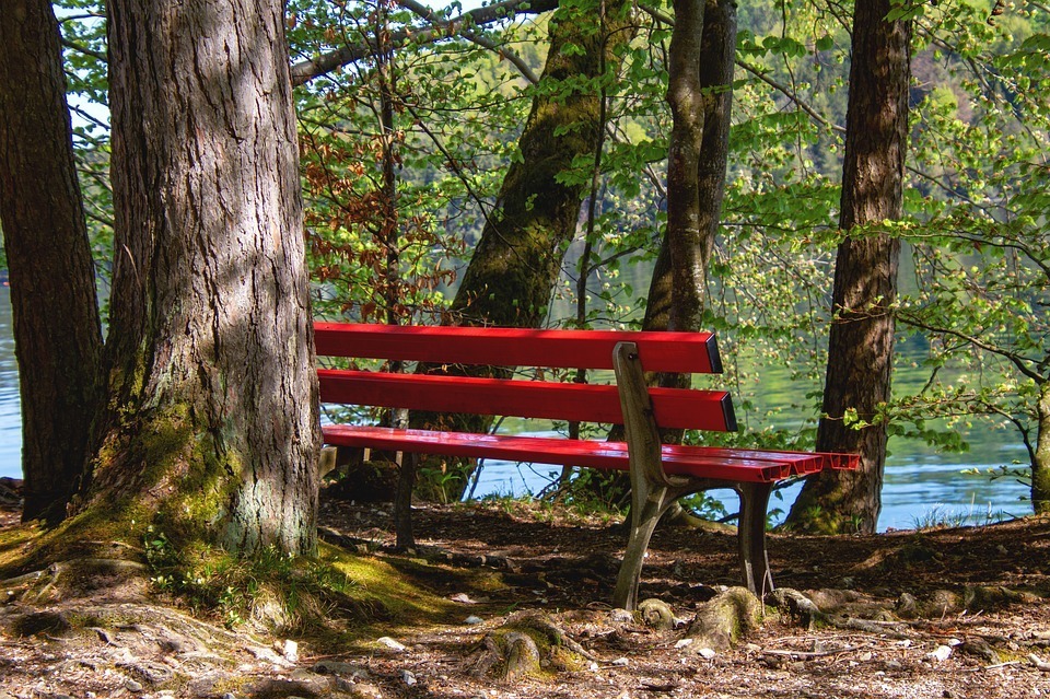 bank-red-nature-trees-lake