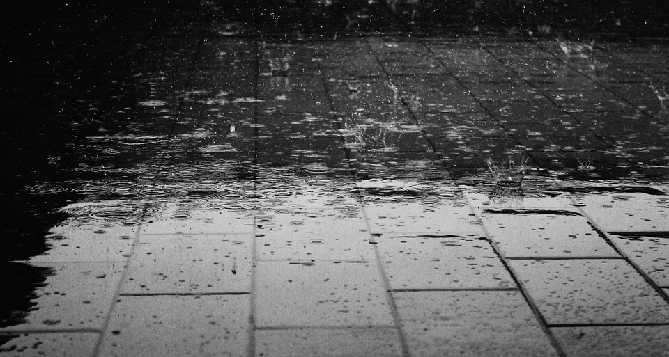rain-floor-water-wet-drops